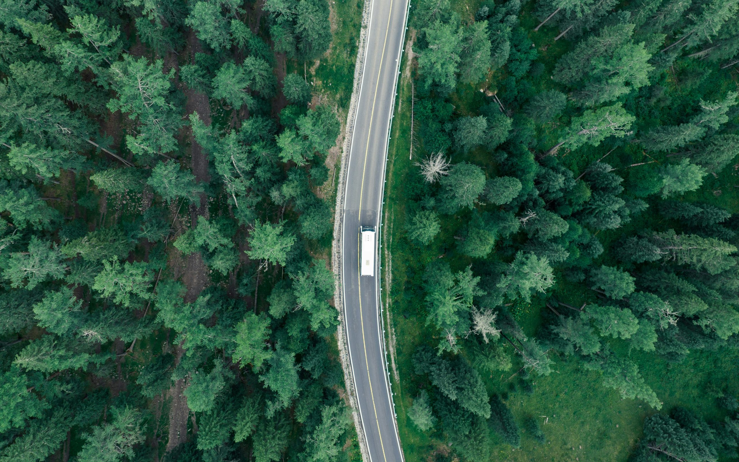 sustainable packaging green logistics delivery